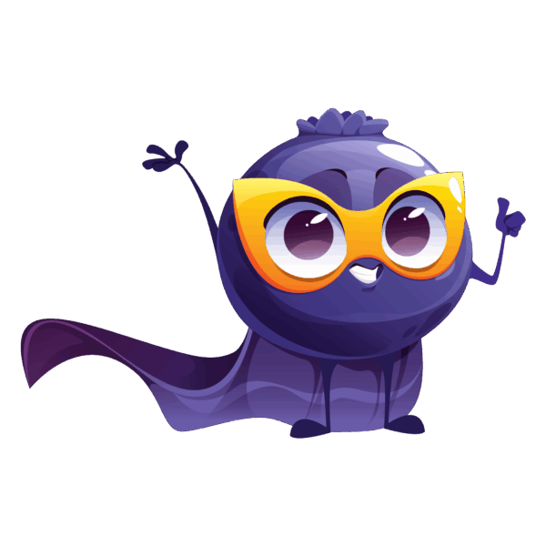HUCKLEBERRY SMOOTHIE - Image 2